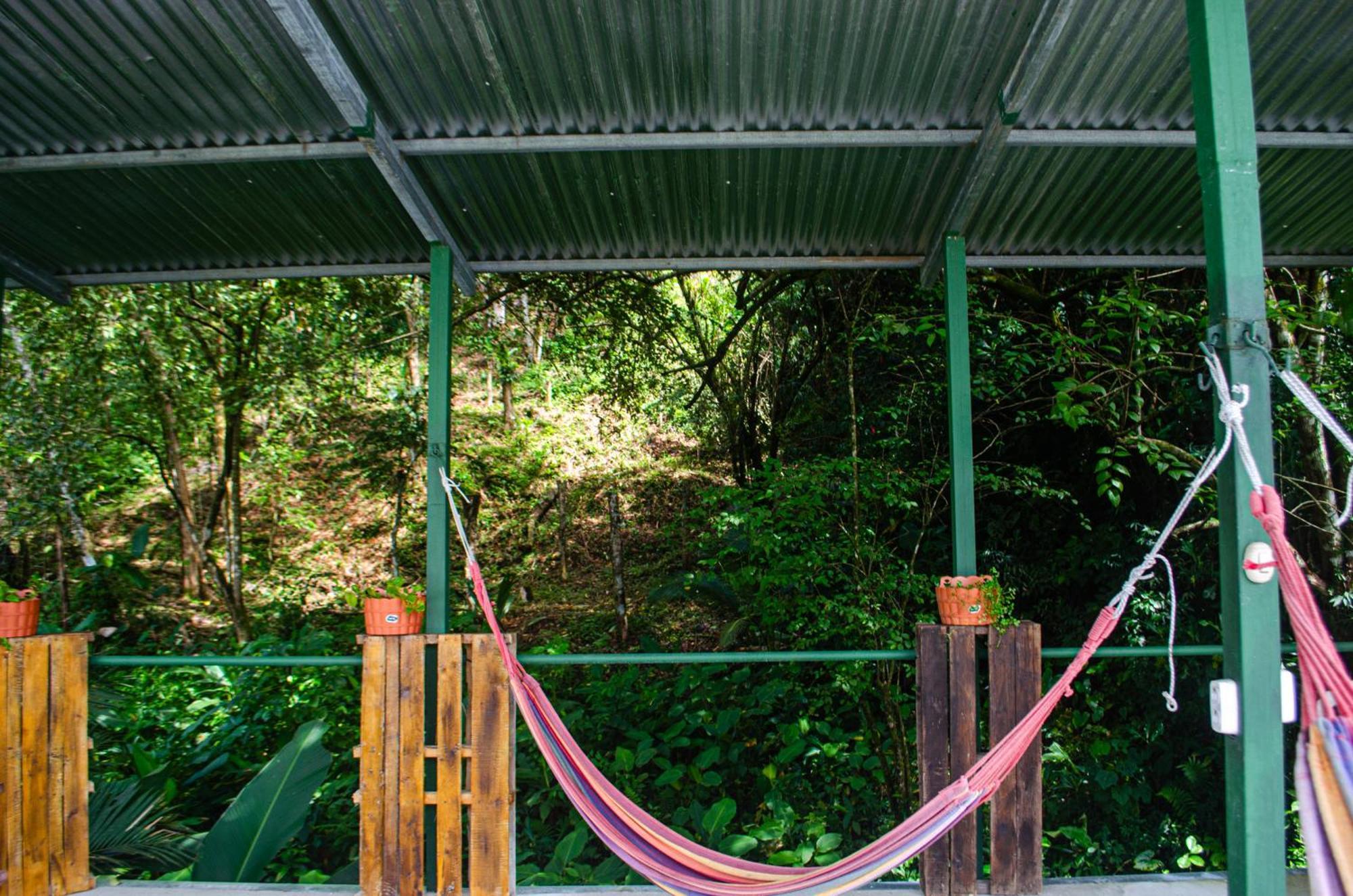 The Jungle Container Bed & Breakfast Quepos Exterior photo